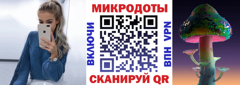 как найти   Гвардейск  Галлюциногенные грибы мицелий 